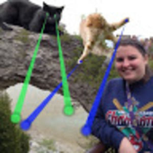 Meet your Posher, Taylor